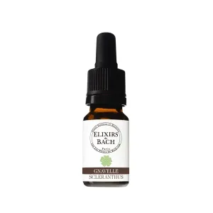 Gnavelle - Scleranthus n°28 10ml