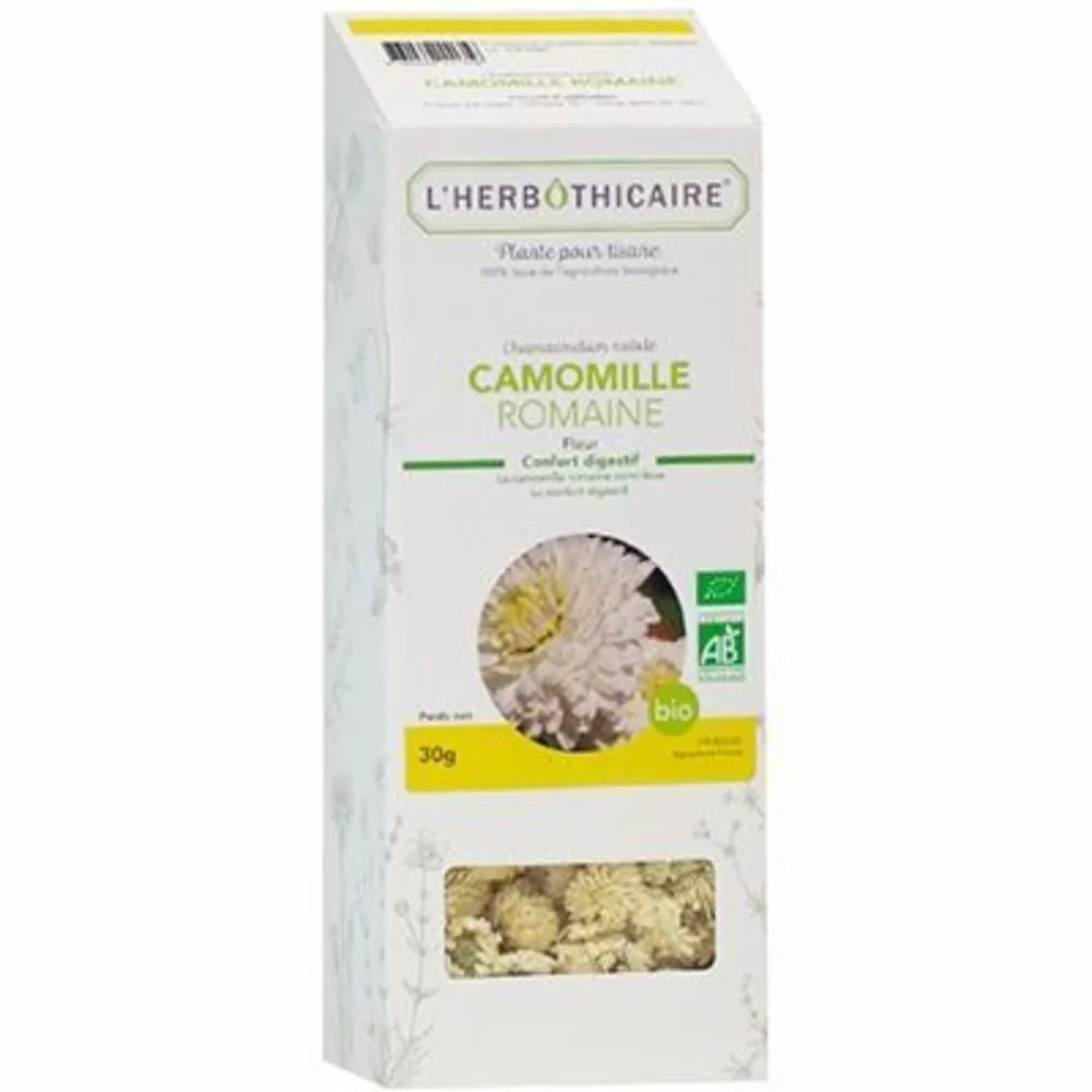 Camomille romaine